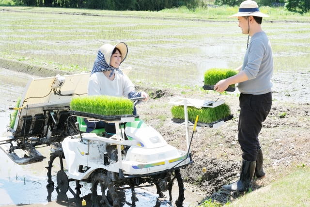 農業・畜産業