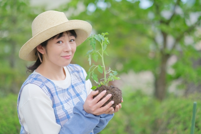 農業・畜産業