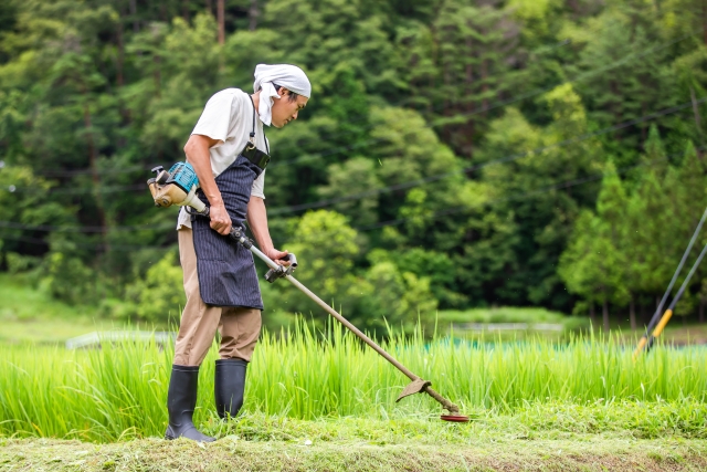 農業・畜産業